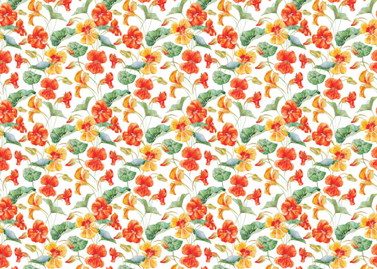 Wallpaper - illustrated orange flowers