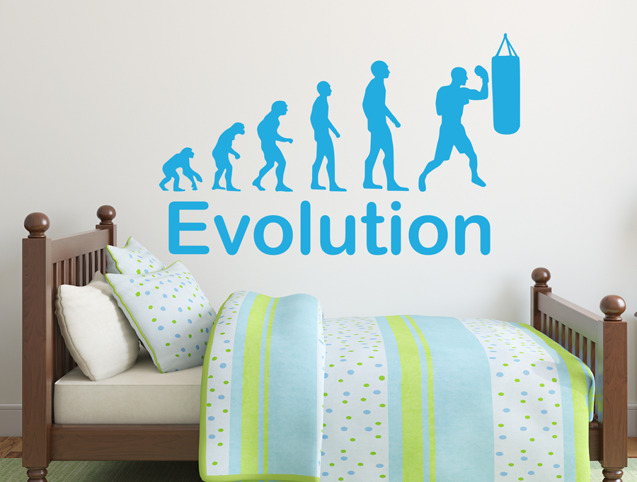 Wall sticker | Boxer Evolution
