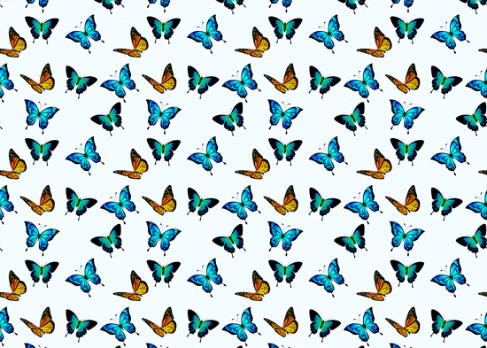 Wallpaper - colorful little butterflies