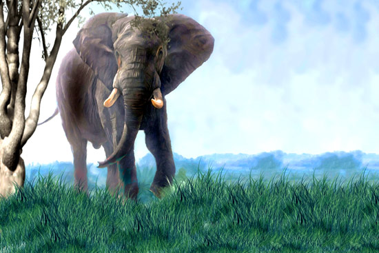 Wallpaper - cute elephant