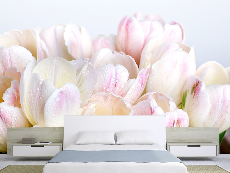 Wallpaper | Tulip flowers
