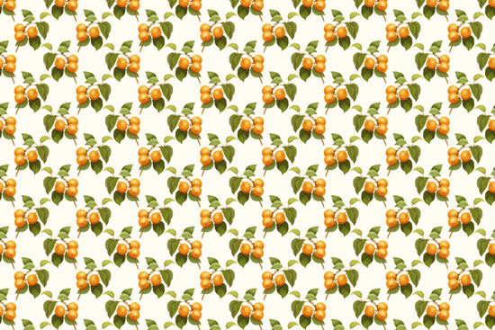 Furniture sticker | Apricots