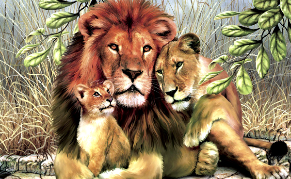Wallpaper - illustrated lions