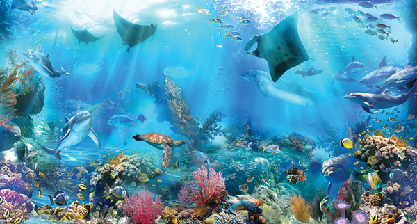 Wallpaper - underwater life
