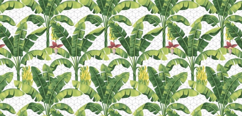Wallpaper | Banana tree leaves