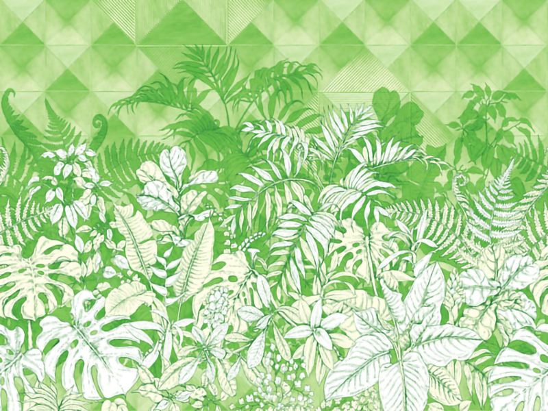Wallpaper | Green forest
