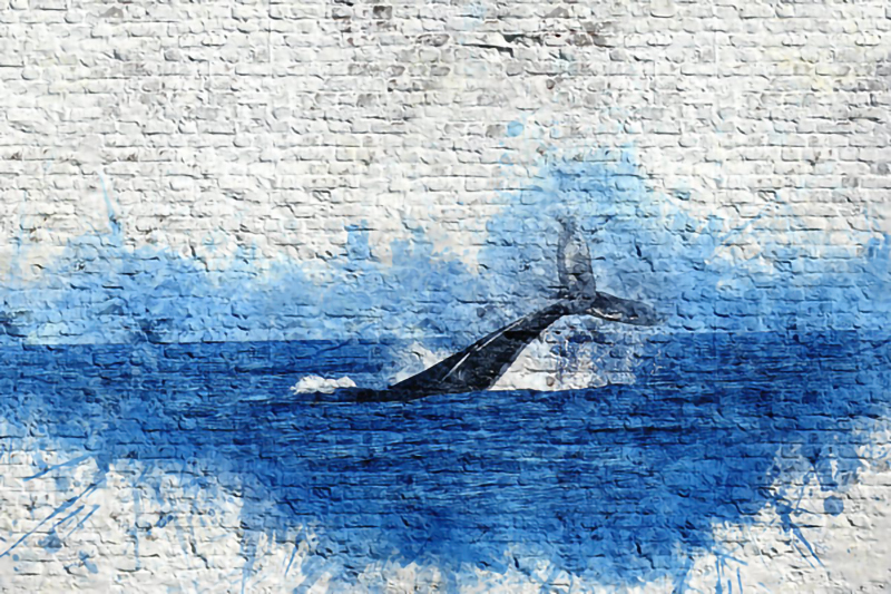 Wallpaper | Graffiti whale in the sea
