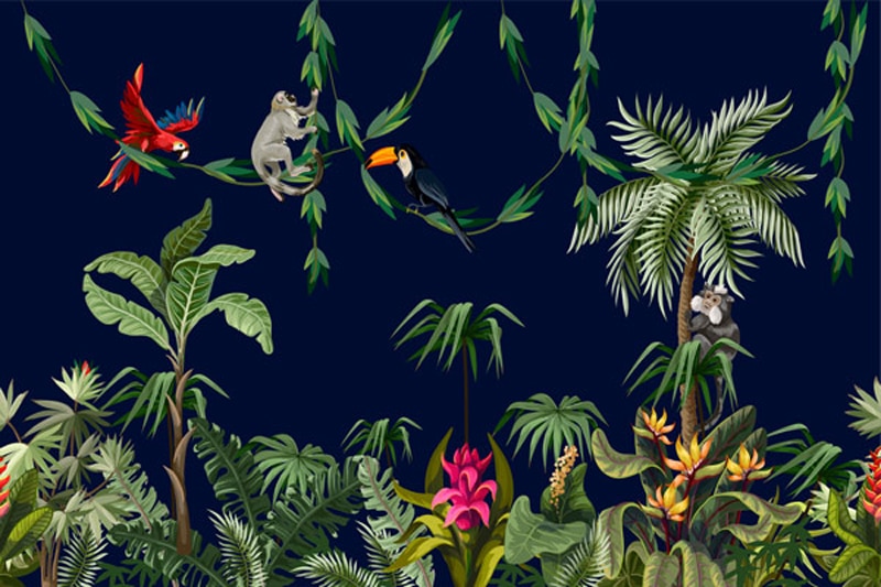 Wallpaper | Parrots and monkeys in the jungle