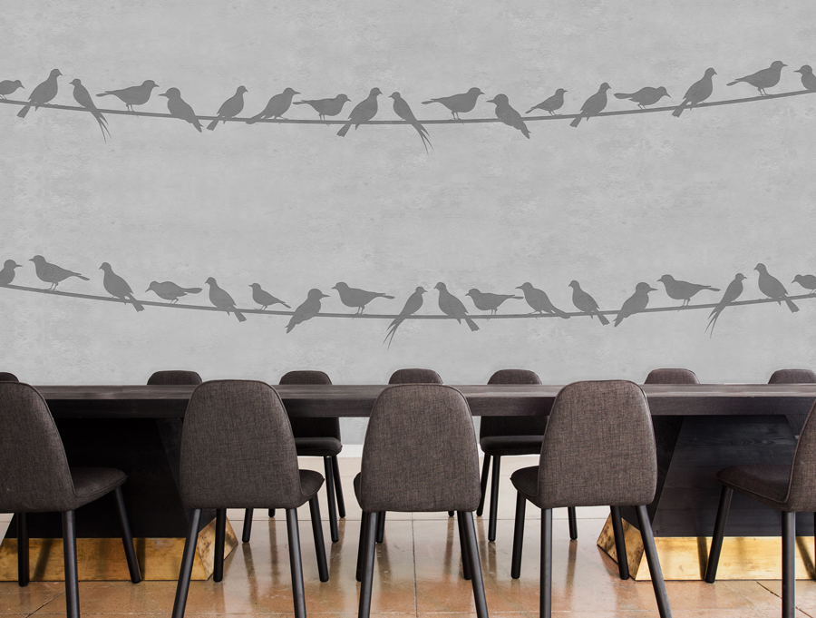 Wallpaper | Birds on wire concrete background