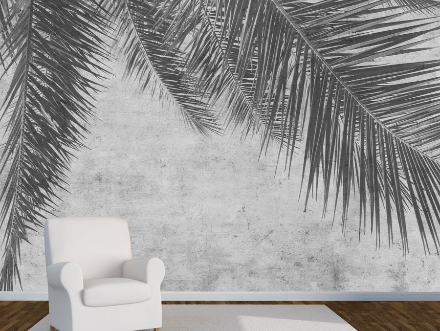 Wallpaper | Palms on concrete texture