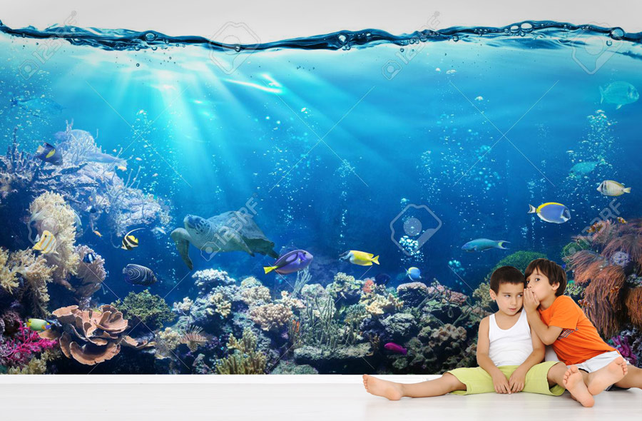 Wallpaper | Aquatic life