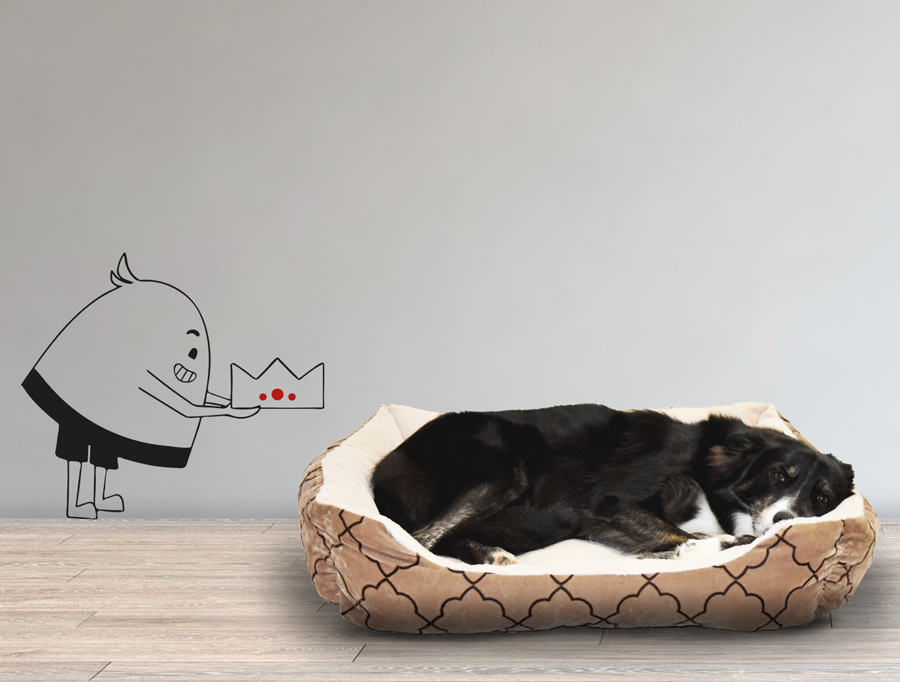 Wall sticker | Lil pit crowns the dog