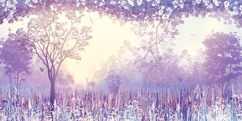 Wallpaper | Magic purple forest