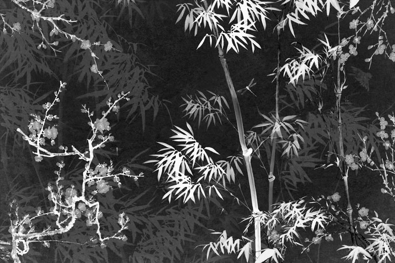 Wallpaper | Bamboo on black and white background