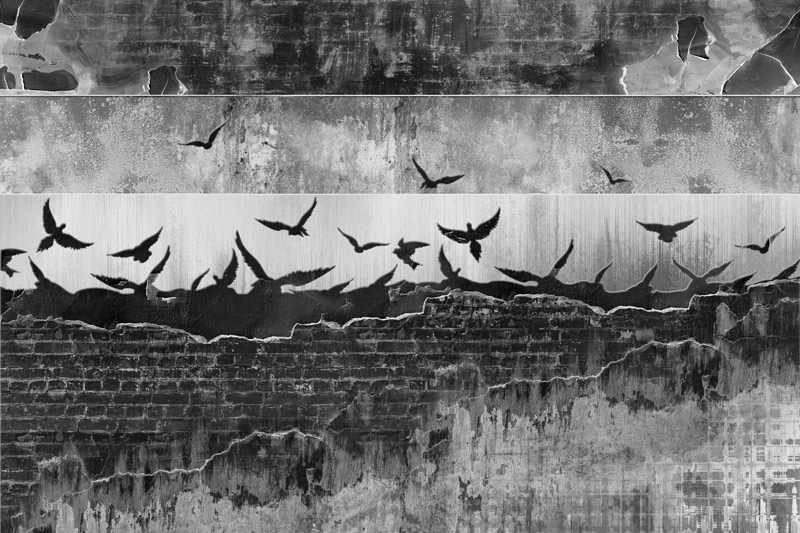 Wallpaper | Black and white birds and bricks