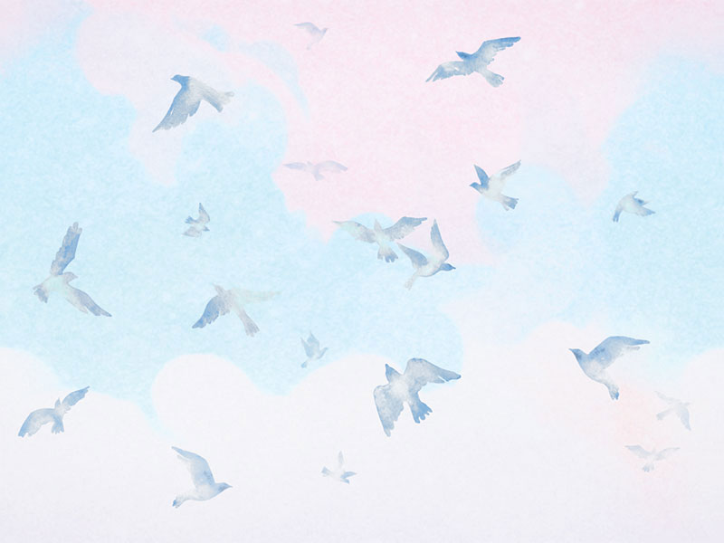 Wallpaper | Flying birds
