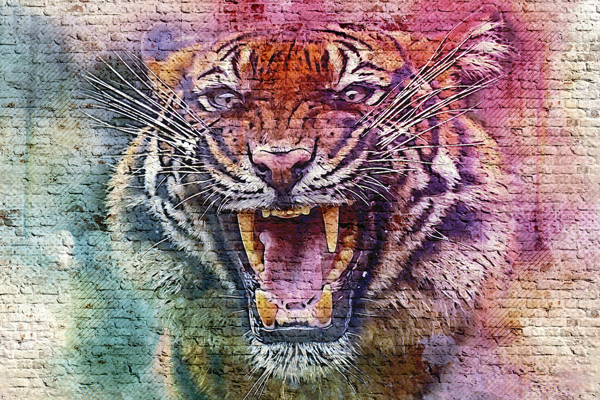 Wallpaper | Tiger rage on brick wall