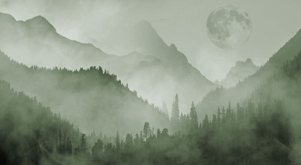 Wallpaper | Green foggy mountains