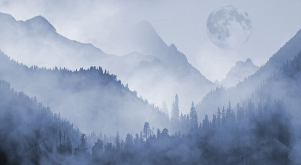 Wallpaper | Blue misty forest