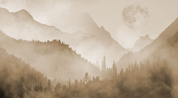 Wallpaper | Brown misty forest