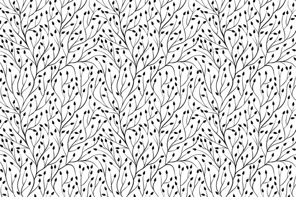 Wallpaper | White background black branches