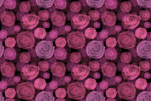 Wallpaper | Dark roses