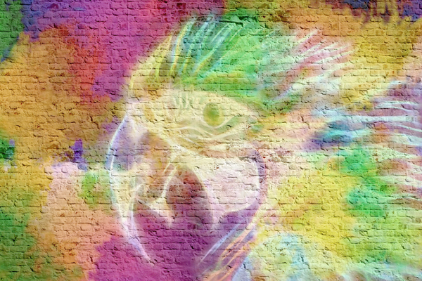 Wallpaper | Neon parrot brick wall