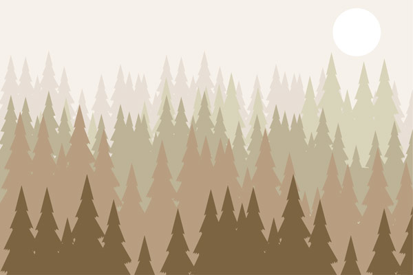 Wallpaper | Brown forest