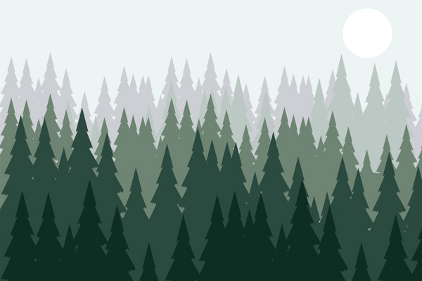 Wallpaper | Green and grey forest