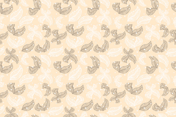 Wallpaper | White and brown feathers