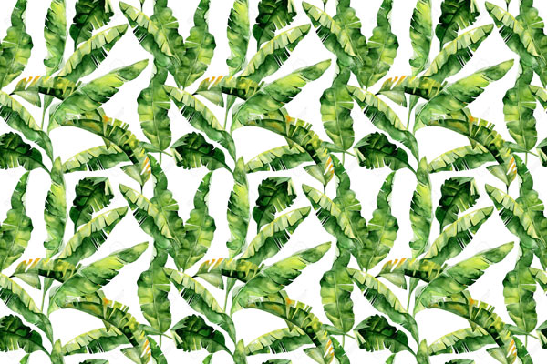 Wallpaper | Beautiful green leaves