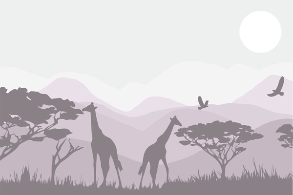 Wallpaper | Lilach giraffes in the zoo