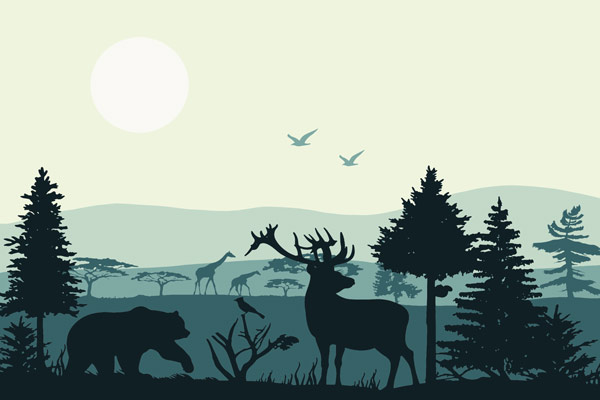 Wallpaper | Turquoise forest animals