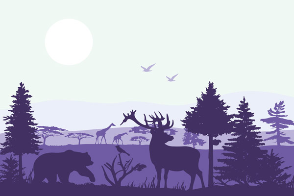 Wallpaper | Purple forest animals