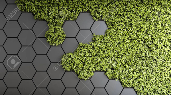 Wallpaper | Hexagons and moss
