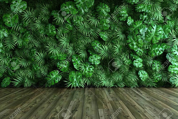 Wallpaper | Jungle leaves and parket
