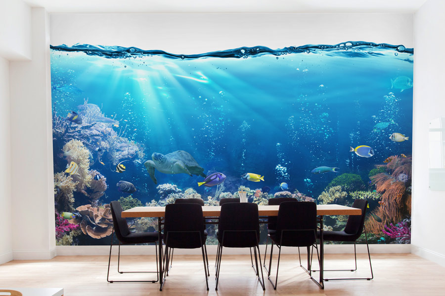 Wallpaper | Aquarium