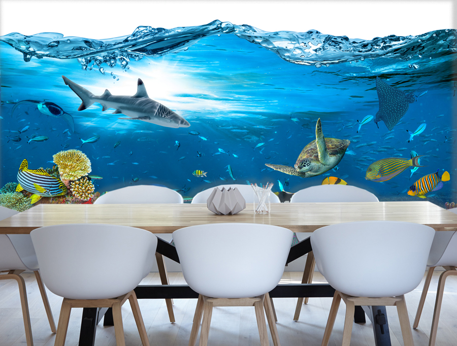 Wallpaper | Fish undersea